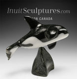 7” SIGNATURE Orca by Johnnysa Mathewsie *Sparks*