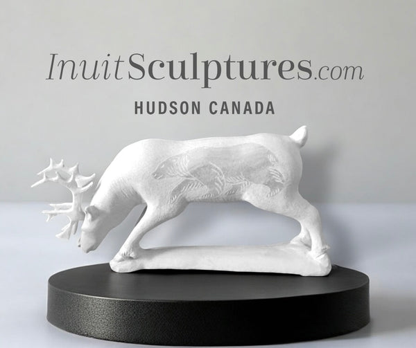 11" SIGNATURE  Caribou by Esau Kripanik *Grazing*