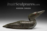 12" SIGNATURE Loon by Jimmy Iqaluq *Packer*