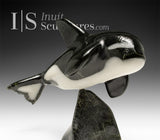 7” SIGNATURE Orca by Johnnysa Mathewsie *Sparks*