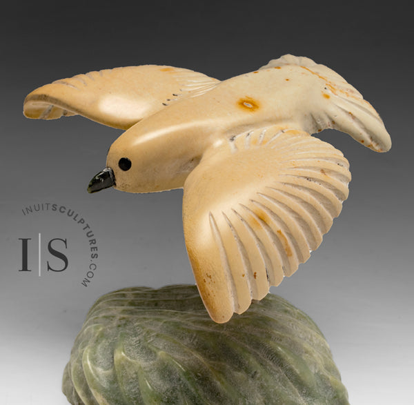 5" Bird in Flight by Kelly Etidloie *Breezy Days*
