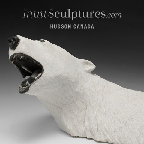 24" Rare Open Mouth Polar Bear Head by Paul Malliki  *Growler* CURATOR'S CHOICE