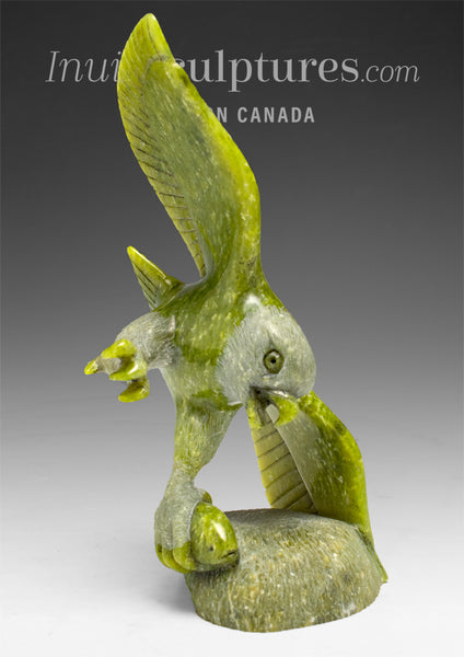 6" SIGNATURE Eagle with Fish by Pits Qimirpik *Drone*