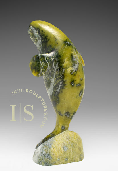 6" Dancing Beluga Whale by Pits Qimirpik *Sea Canary*