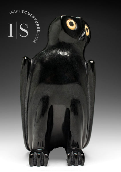 9" SIGNATURE Perfectly Polished Owl by Sam Qiatsuk *Black Licorice*