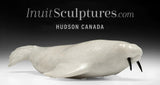 14" Walrus with Black Tusks by Emataluk Saggiak *Toothy*