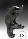 6” SIGNATURE Diving Bear by Tim Pee *Magic Mike*