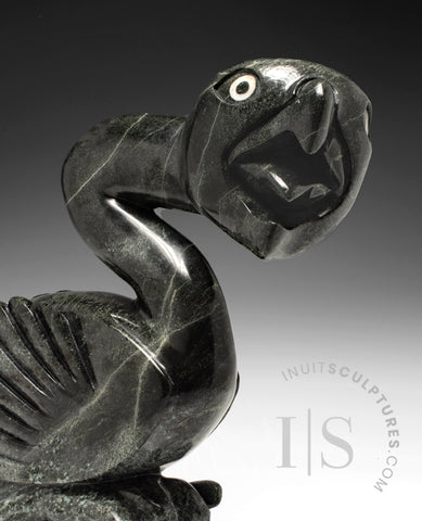 25" SIGNATURE Dancing Bird by Toonoo Sharky *Lionheart*