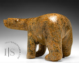 17" Walking Bear by Adamie Quamagiaq *King*