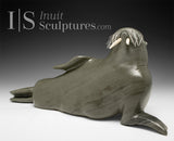 14" SIGNATURE Walrus by  Jimmy Iqaluq *Strike a Pose*