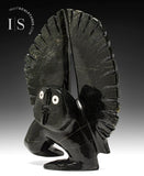 14" SIGNATURE Owl by Palaya Qiatsuq *Blackberry*