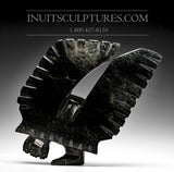 10" Owl with Inlayed Eyes by Palaya Qiatsuq