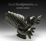 14"  SIGNATURE Dancing Bird by Toonoo Sharky *Glee*