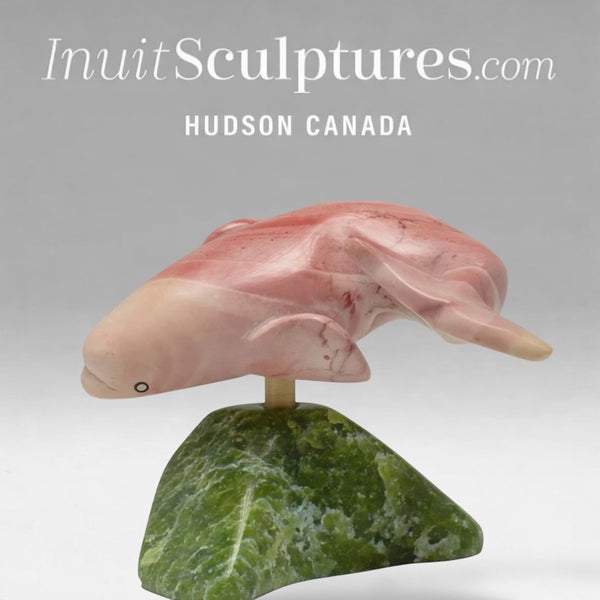 7" Whale by Toonoo Sharky *Wiggle Room*