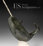 14" Museum Calibre Narwhal by Paul Malliki *Pure Power*