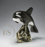 Orca de 7 pouces, SIGNATURE de Johnnysa Mathewsie *Figée*