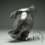 15" SIGNATURE Dancing Bear by Elite Carver Noah Parr *Ballroom Blitz*