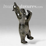 13" Dancing Bear by Ashevak Adla *Bench Press*