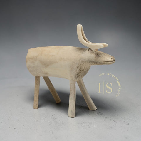 CARIBOU VINTAGE 6" par Jacob Irkok *L'instinct grégaire*