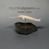 5" Narwhal by Paul Tegumiar *Heat Seeking Missle*