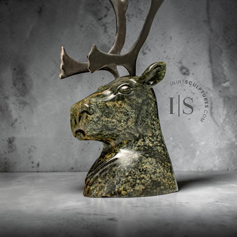CARIBOU VINTAGE 23 CM par Idris Moss-Davies *Le Roi régnant*