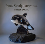 CURATOR'S CHOICE 6" Orca by Johnnysa Mathewsie *Clearing The Bar*