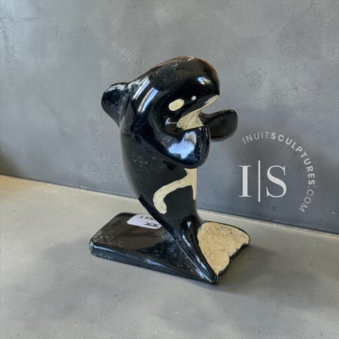 5" Orca Whale by Kelly Etidloie *Surfer Boy*