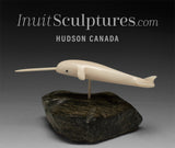 5" Narwhal by Paul Tegumiar *Heat Seeking Missle*