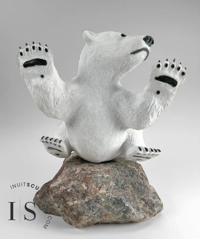 15" Polar Bear Cub on Rock by Paul Malliki *Water Baby* CURATOR'S CHOICE