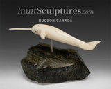 5" Narwhal by Paul Tegumiar *Heat Seeking Missle*