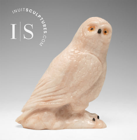 6" Ookpik Owl by Peter K. *Cotton Candy*