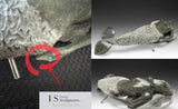 PROFESSIONAL RESTORATIONS and  REPAIRS