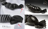 PROFESSIONAL RESTORATIONS and  REPAIRS
