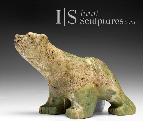 7" Walking Bear by Samayualie Akesuk