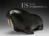 VINTAGE 12" Basking Walrus by Sima Tukai *GO HABS GO!*