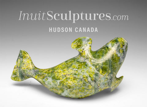 6" Basking Beluga Whale by Pits Qimirpik *Summer* EXHIBITION PIECE AUG 14