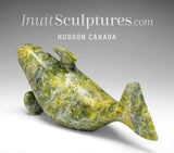 6" Basking Beluga Whale by Pits Qimirpik *Summer* EXHIBITION PIECE AUG 14