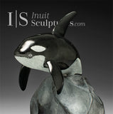 10" SIGNATURE Orca Whale by Derrald Taylor *Jumping the Hurdle*