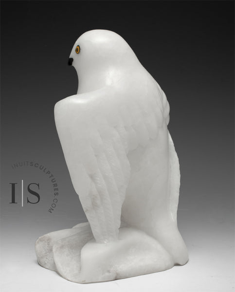 8" Snowy Owl (Uppik)  Derrald Taylor *Black Tie Affair*