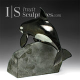 10" SIGNATURE Orca Whale by Derrald Taylor *Jumping the Hurdle*