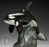 10" SIGNATURE Orca Whale by Derrald Taylor *Jumping the Hurdle*