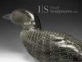 23" SIGNATURE Red Eye Loon by Jimmy Iqaluq *Pin Feathers*