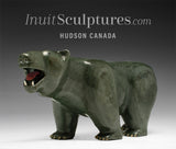 Final Piece 12" Walking Bear wth Red Tongue by Jimmy Iqaluq *Storm* Canada's Top Master Carver