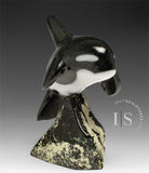 Orca de 7 pouces, SIGNATURE de Johnnysa Mathewsie *Figée*