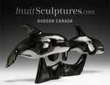 13” SIGNATURE Orcas by Johnnysa Mathewsie