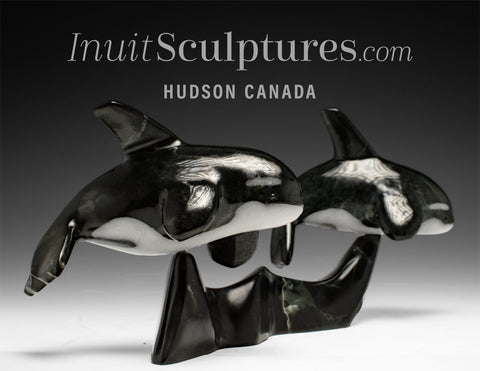 13” SIGNATURE Orcas by Johnnysa Mathewsie