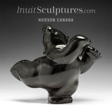 8 po. Dancing Bear de Markoosie Papigatok *Skate Nunavut*