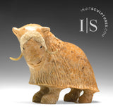 6" Muskox by Peter K. *Little Warrior*