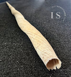 74" PERFECT TIP Narwhal Tusk (Ivory)