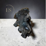 VINTAGE 22" Bonded Bear and Walrus  LAST Masterpiece of Elite Master Carver Nuna Parr *Never Apart*